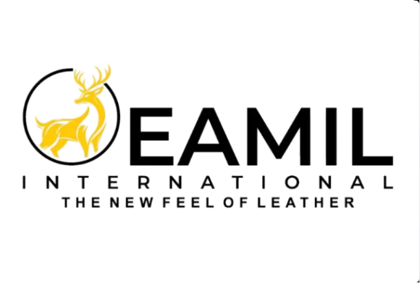 Eamil International